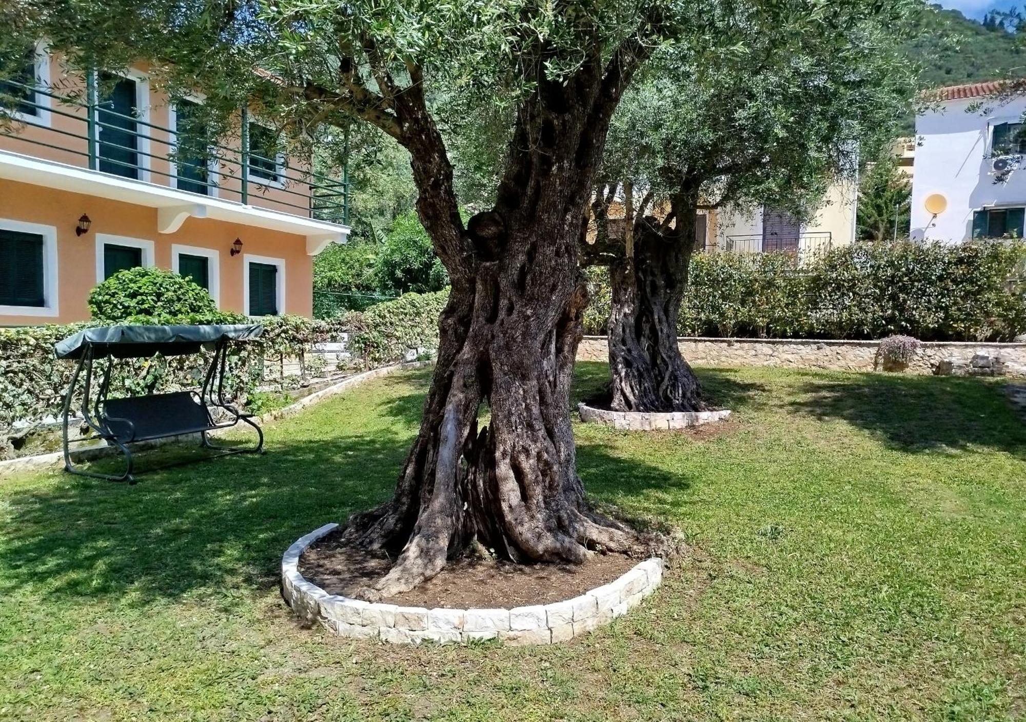 Kelly Apartments Ύψος Εξωτερικό φωτογραφία